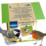 Kit Biodiversidad, especial Pjaros - Caillard